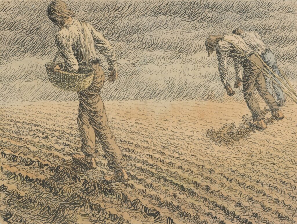 Farmers sowing seeds in a field
